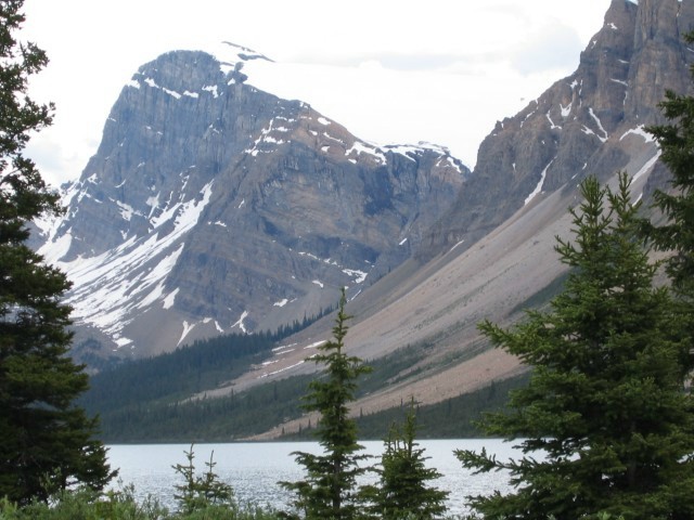 Bctrip0089