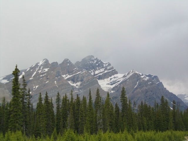 Bctrip0093