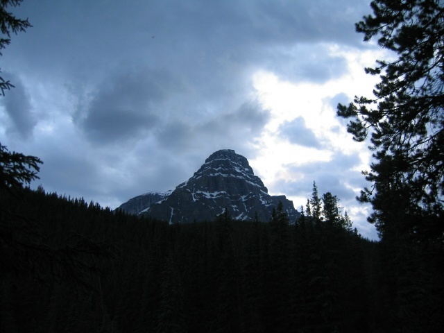 Bctrip0095