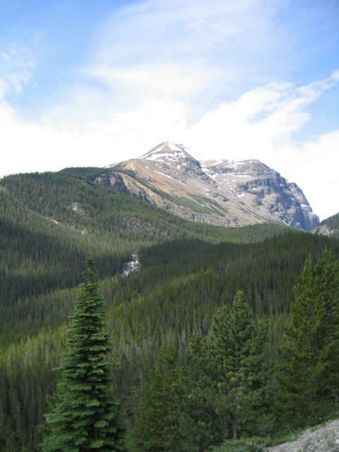 Bctrip0100