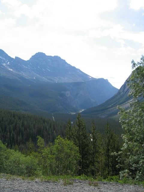 Bctrip0103