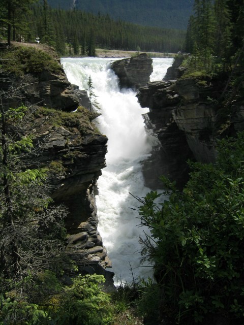 Bctrip0113