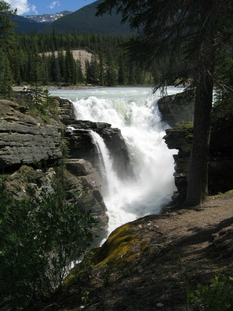 Bctrip0115