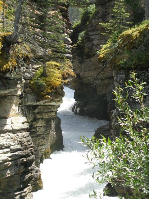 Bctrip0116
