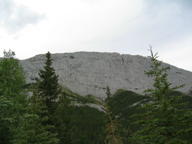 Bctrip0120