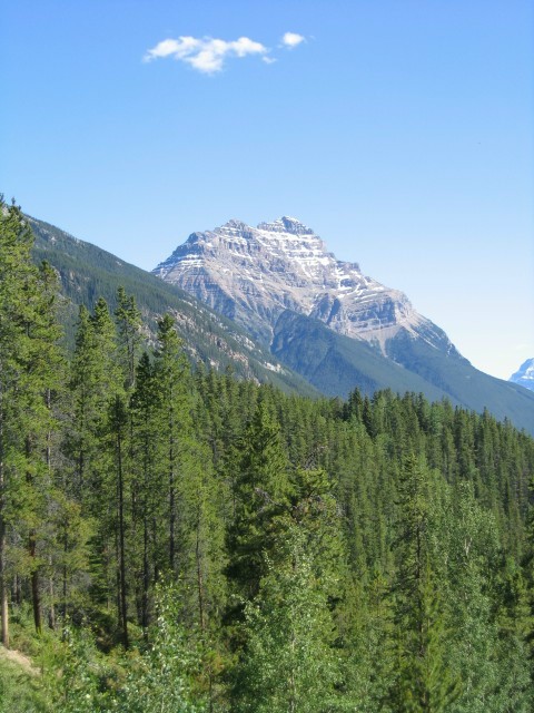 Bctrip0130
