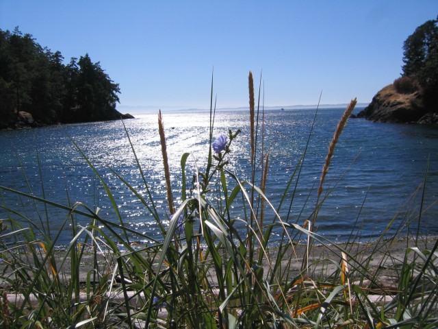 Sanjuanislands0002