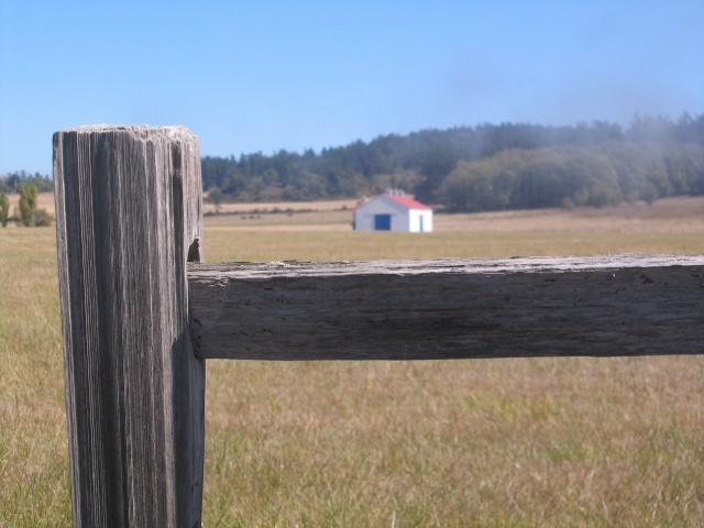Sanjuanislands0012