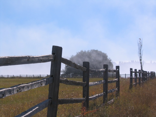 Sanjuanislands0013