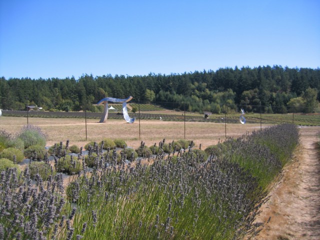 Sanjuanislands0014