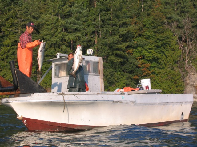 Sanjuanislands0021
