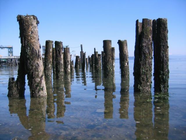 Sanjuanislands0025