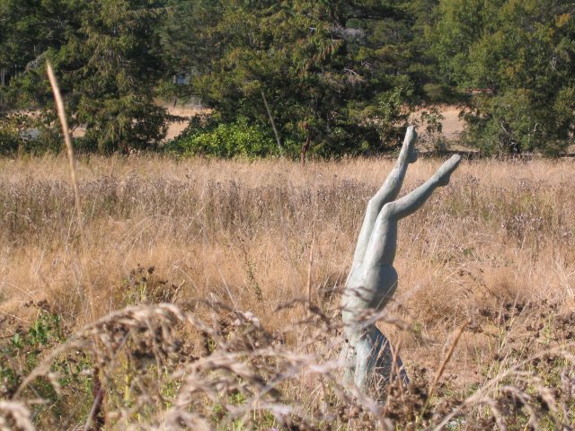 Sanjuanislands0035