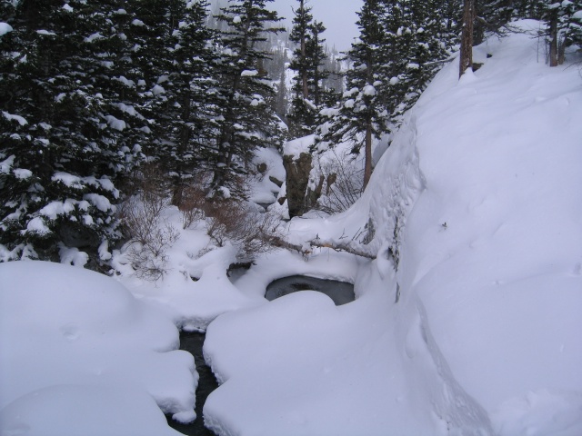 Rmnp0007