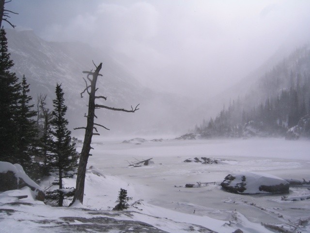 Rmnp0010