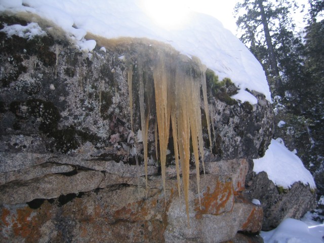 Rmnp0014