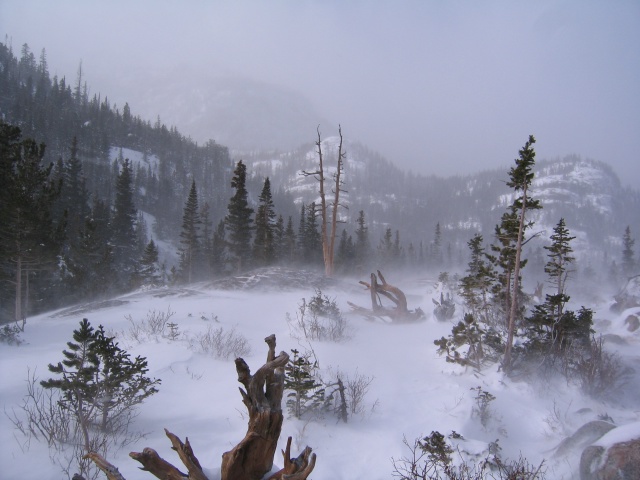 Rmnp0015