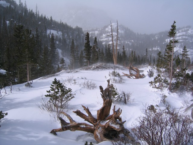 Rmnp0016
