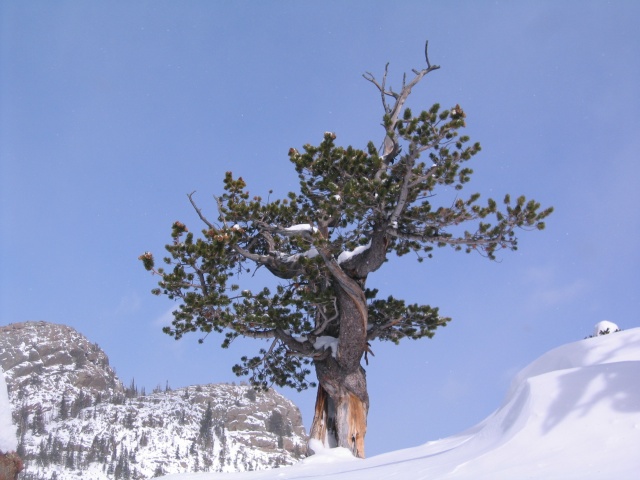 Rmnp0018