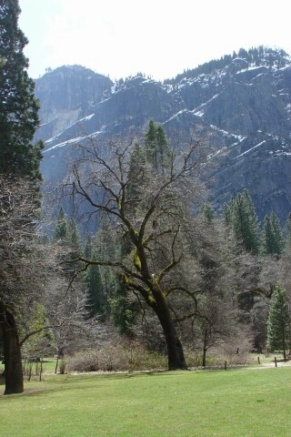 Yosemite009