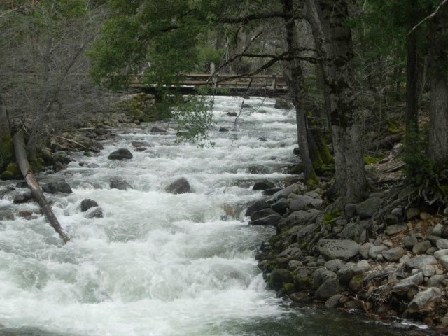 Yosemite019