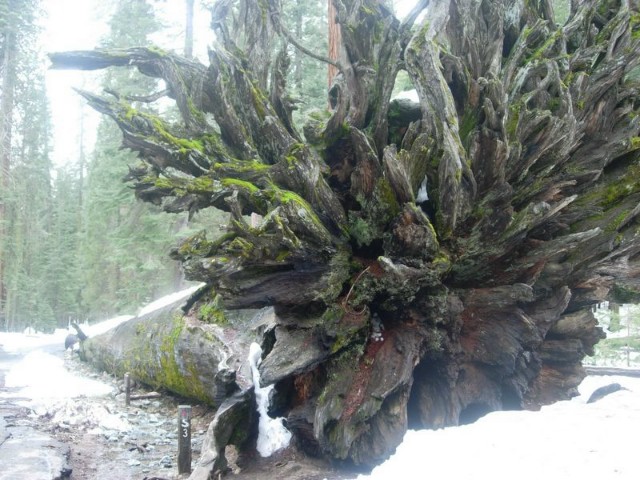 Yosemite023