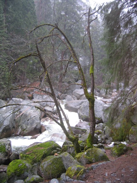Yosemite030