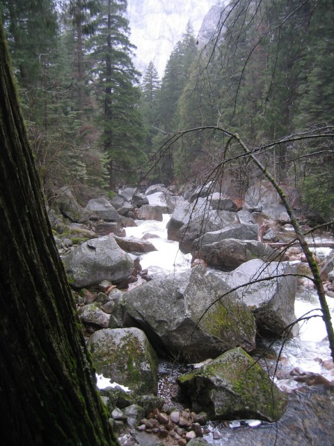 Yosemite031